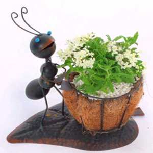 이미지 상세보기