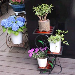 이미지 상세보기